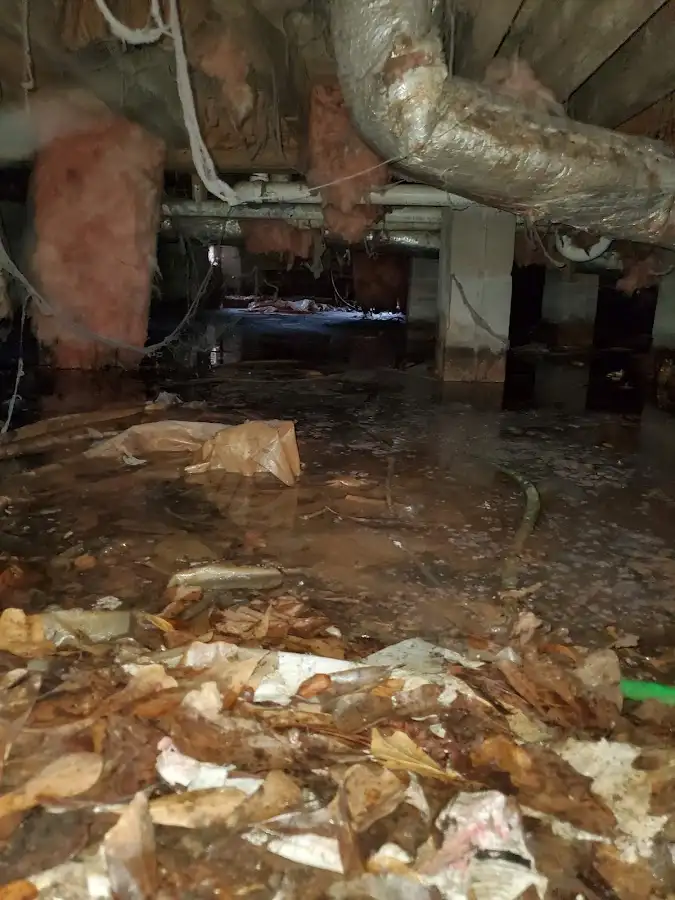 Crawl space flood assessment for Commercial Water Damage Restoration in Pell City
