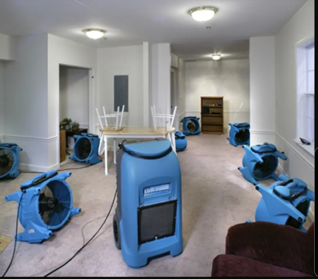 Air movers and dehumidifier setup for Water Extraction & Removal in Pell City