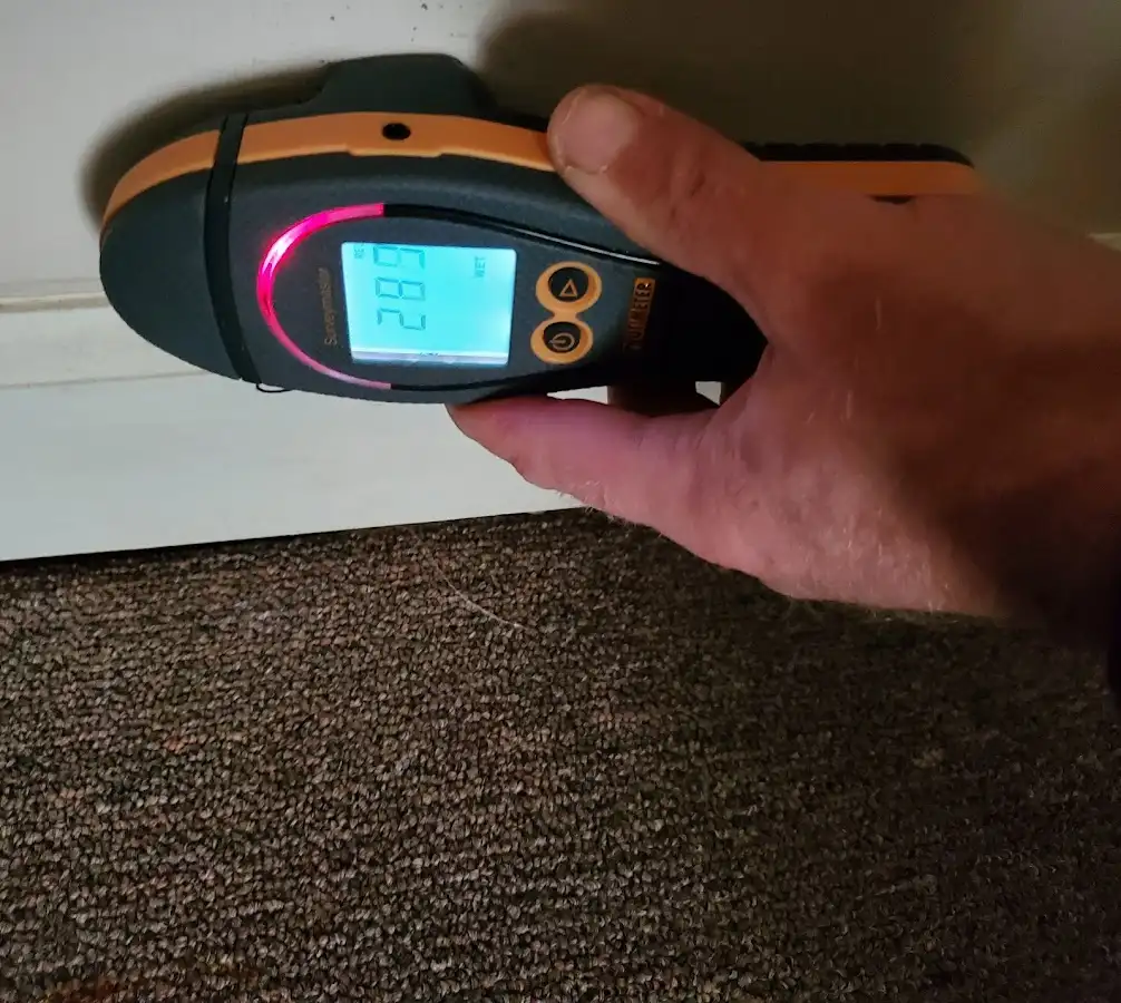 Moisture detection at baseboard during Sewage Cleanup & Sanitation in Pell City