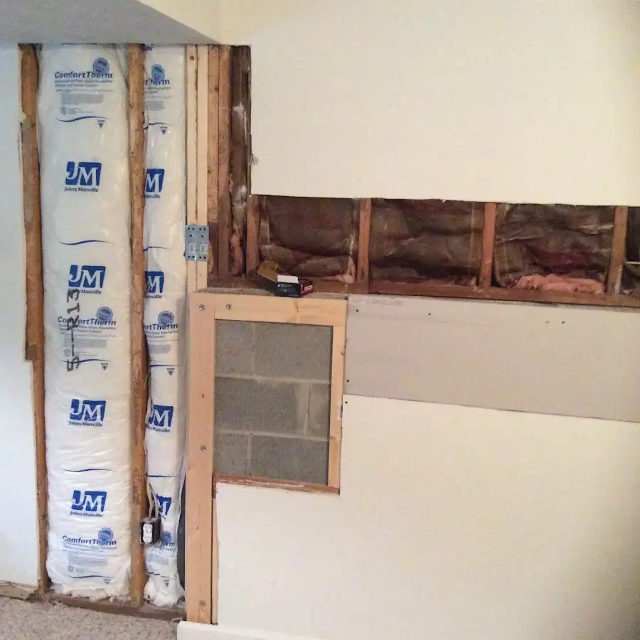 Wall insulation replacement during Odor Removal & Deodorization in Pell City